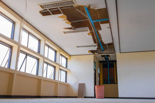 Best Water damage contractors near me  in South San Gabriel, CA