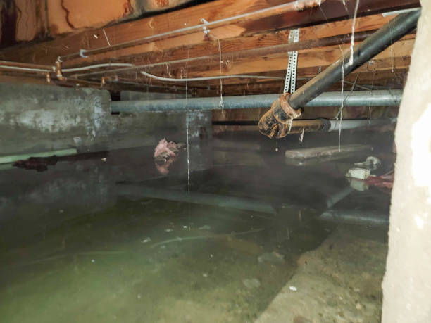 Best Sewage cleanup and water damage restoration  in South San Gabriel, CA