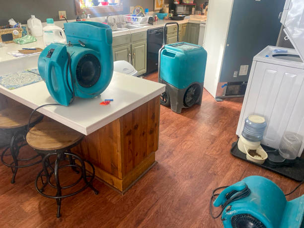 Best 24/7 water damage repair  in South San Gabriel, CA