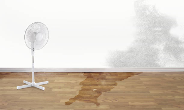 Best Commercial water damage restoration  in South San Gabriel, CA