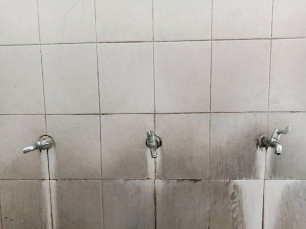 Professional Water damage restoration in South San Gabriel, CA