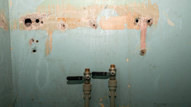 Best Residential water damage restoration  in South San Gabriel, CA