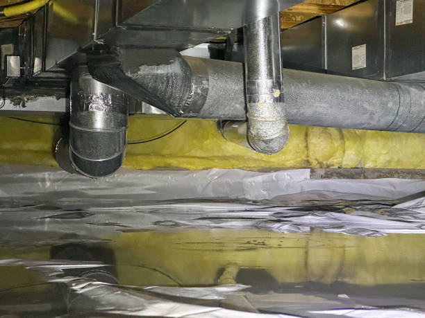 Best Mold removal after water damage  in South San Gabriel, CA
