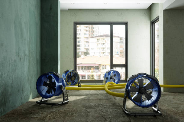 Best Emergency water damage restoration  in South San Gabriel, CA