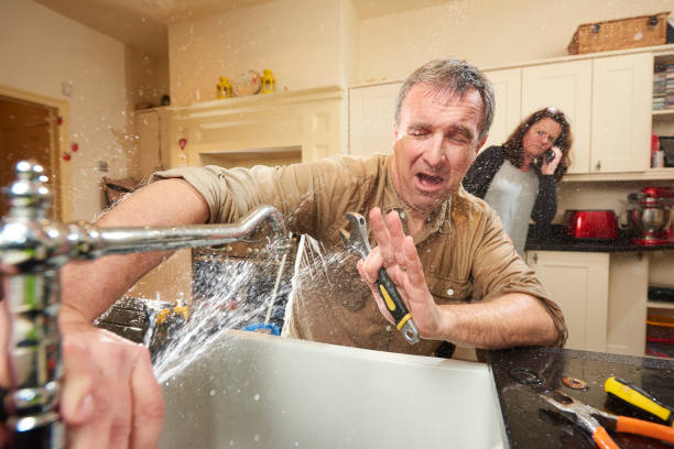 Best Flooded house restoration  in South San Gabriel, CA
